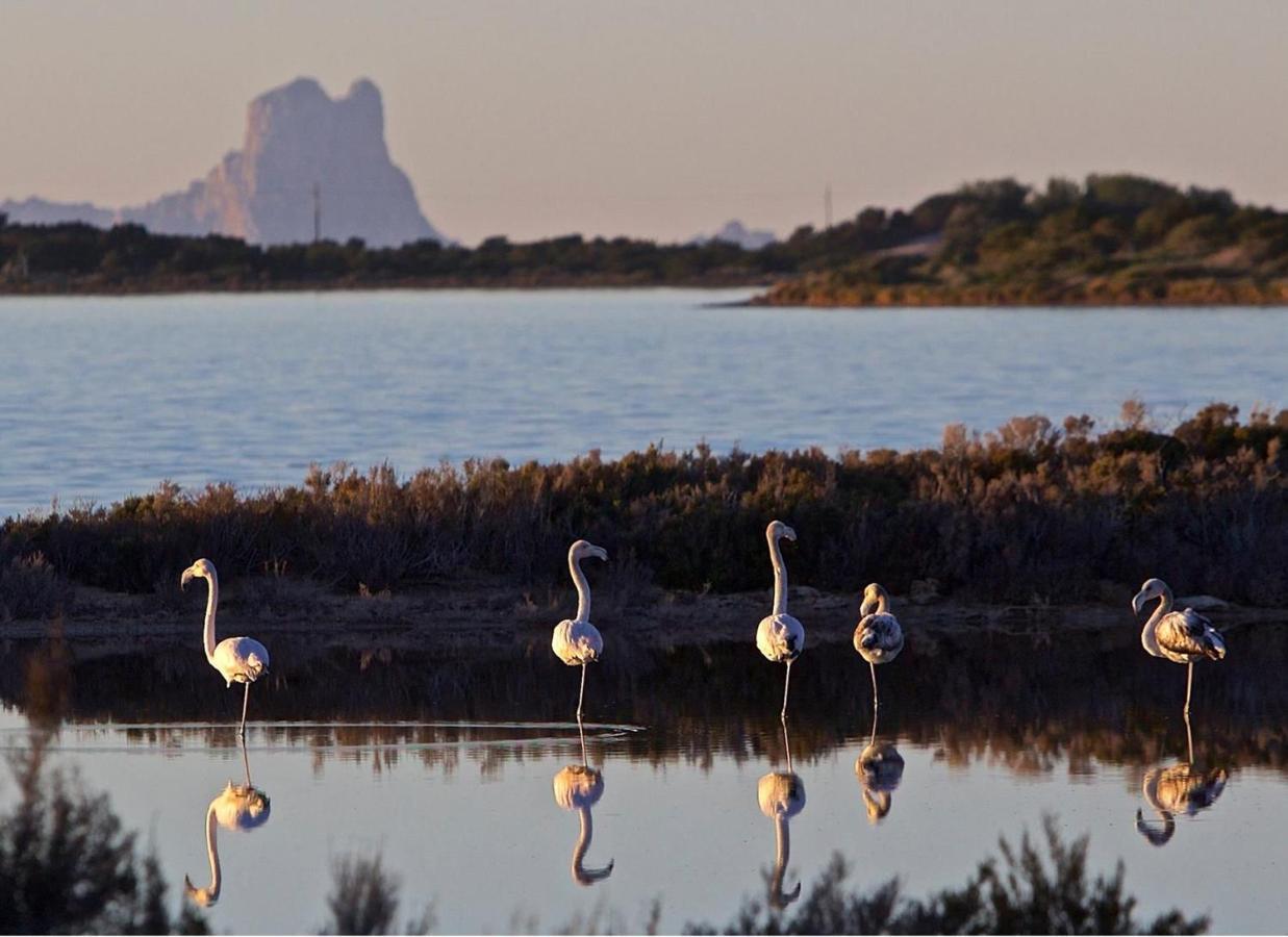 Hotel Lago Dorado - Formentera Break La Savina  Bagian luar foto